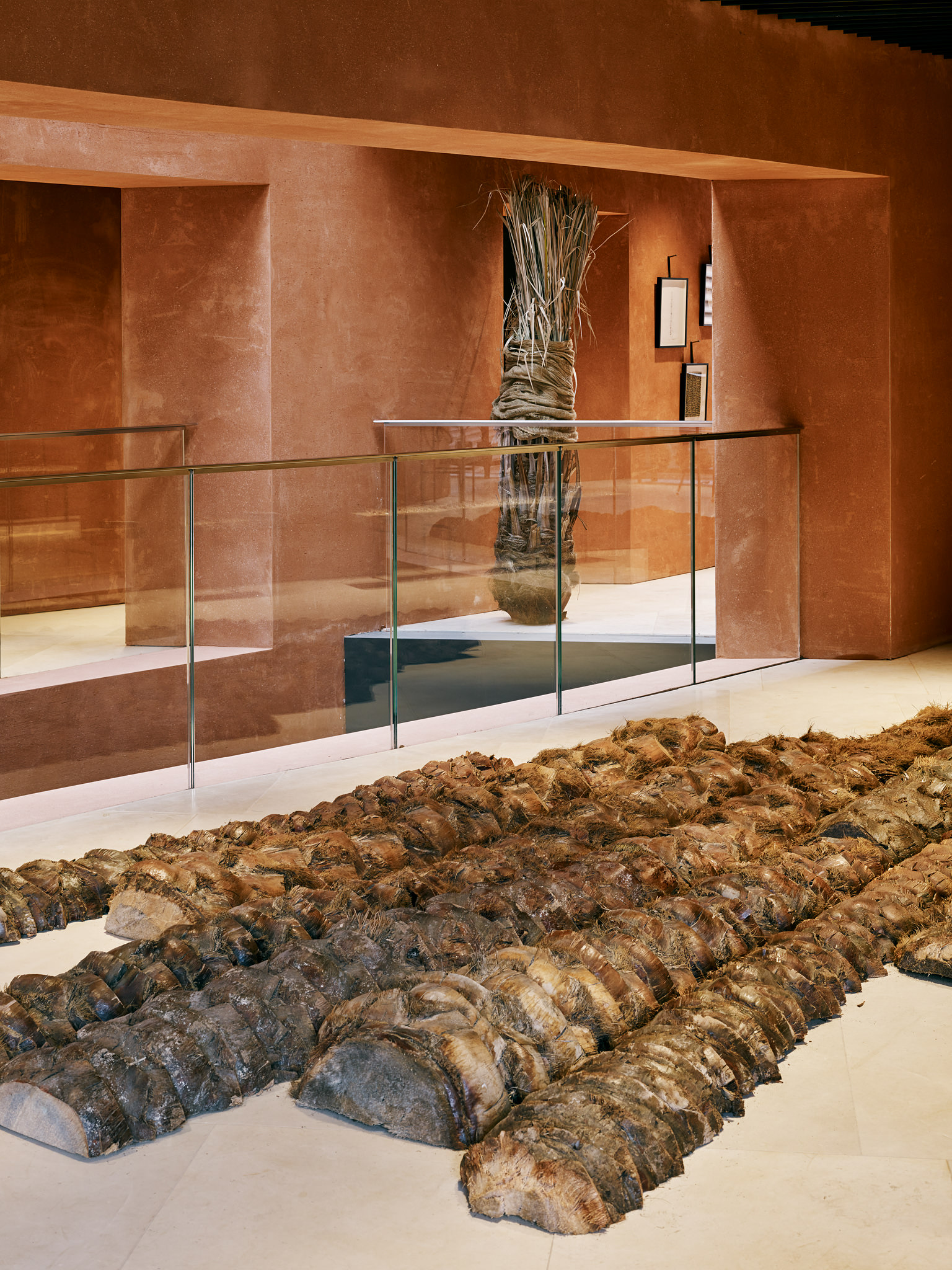 E15547 Alpa 050285 SCREEN